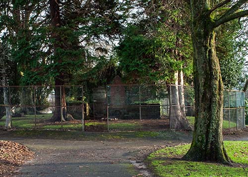 The Ruins of St Serf's Church, Levengrove Park, Dumbarton, 2013