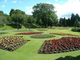 Floral Displays Now