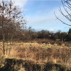 Levenbank 4