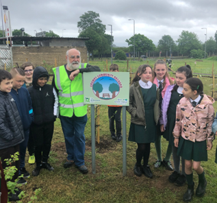 Drumry Community Orchard